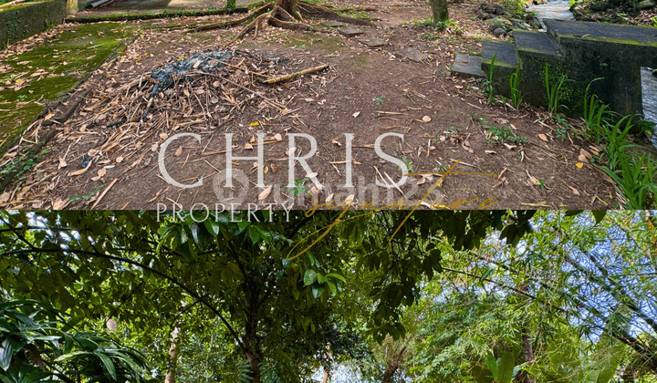 31 - Dijual Tanah Strategis di Padonan, Bali.