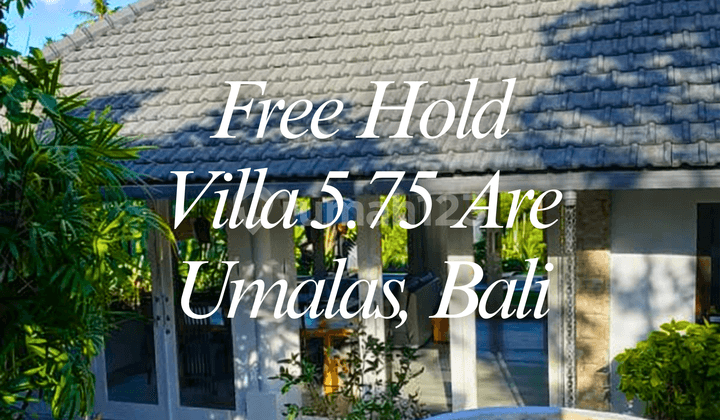 03 - Villa For Sale In Umalas Prime Location Full Furnished Lokasi Strategis Kolam Renang Bebas Banjir