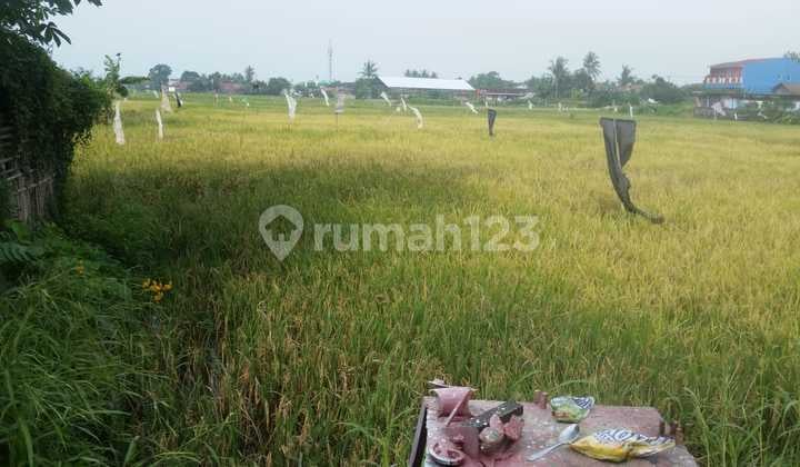 Tanah Perumnas Cibeber Nego Sampai Deal