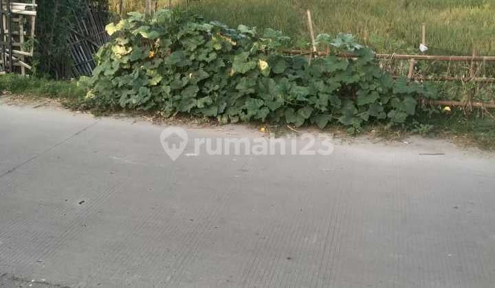 Tanah Strategis Jalan Utama Pontang Tanah Strategis Jalan Utama Pontang