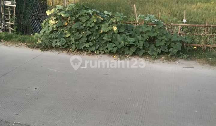 Tanah Strategis Jalan Utama Pontang