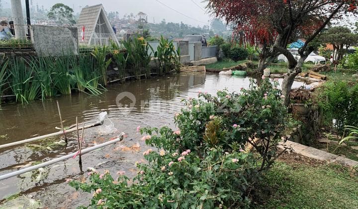 Rumah Dijual di Ciwidey Cocok Untuk Villa Keluarga