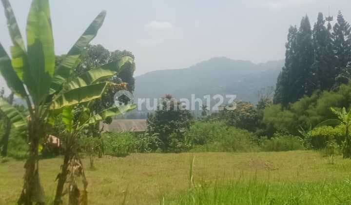 Tanah 9105 m2 SHM Cisarua, Bogor