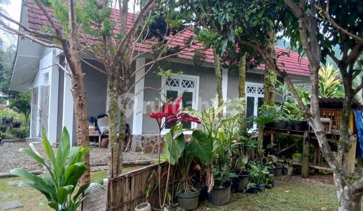 Di Jual Rumah + Tanah Luas 3035 m² Surat Shm Dan Akte 04.2024