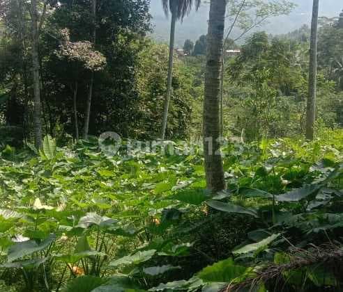 Tanah dijual daerah Parakan salak di Sukatani