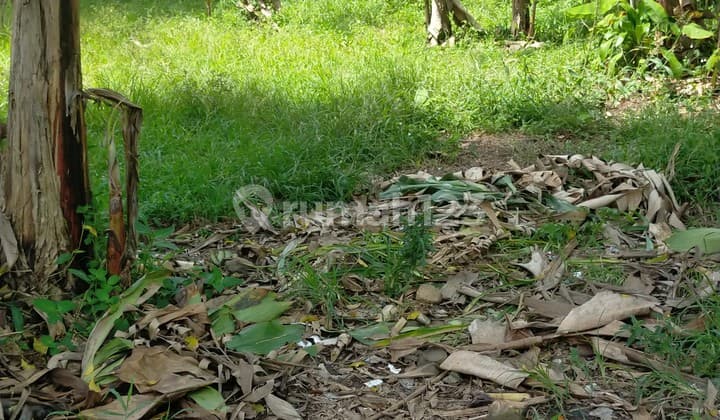 Tanah dijual Sukamakmur cibadak