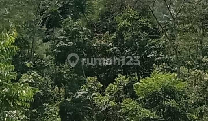 Tanah dijual Cigudeg Bogor