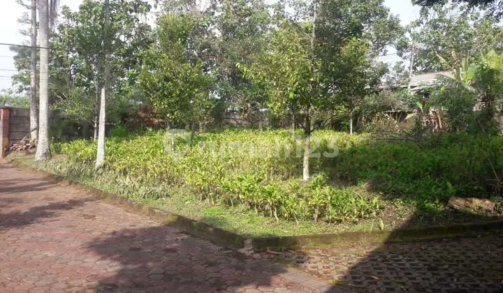 Tanah kebun