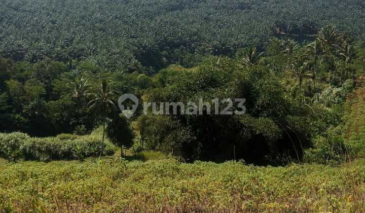 Tanah murah strategis