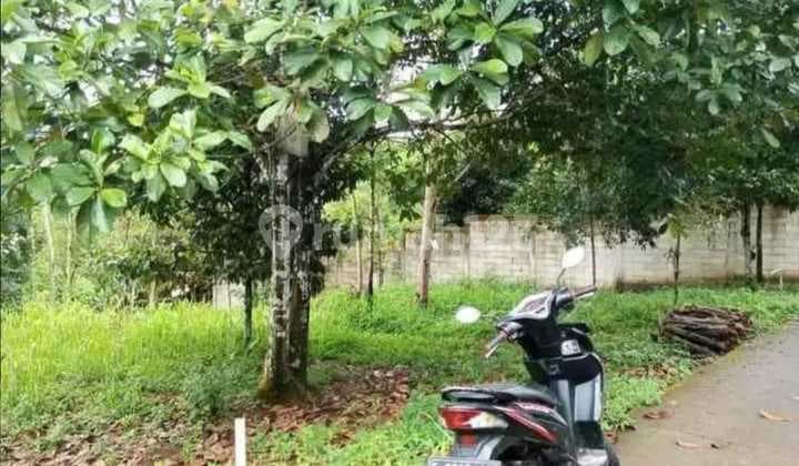 Lahan Dijual
