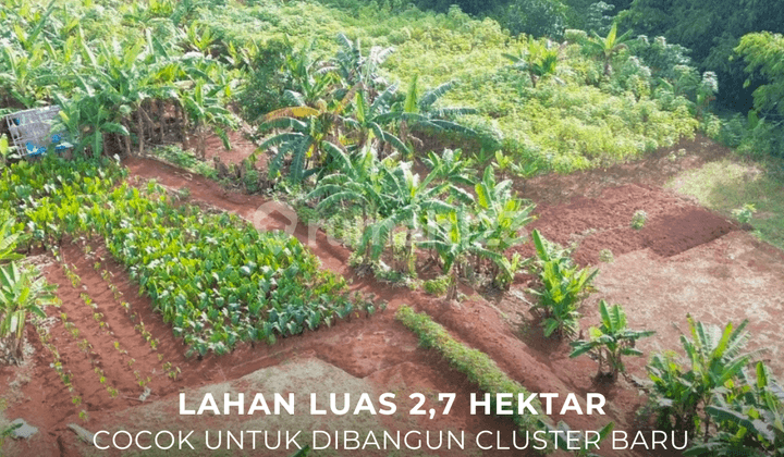 Jual Cepat Lahan Luas Murah Cocok untuk Cluster di Pondok Cabe