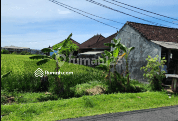 di Cemagi, Badung, Badung