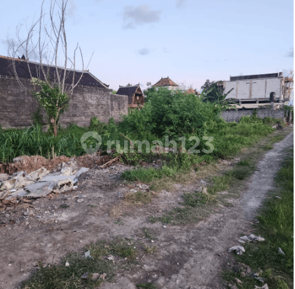 di Penyaringan Sanur Kauh Denpasar Bali, Denpasar