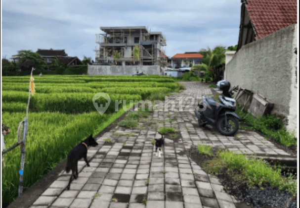 Tanah di Seseh Mengwi Badung Bali Mengwi, Badung
, Badung