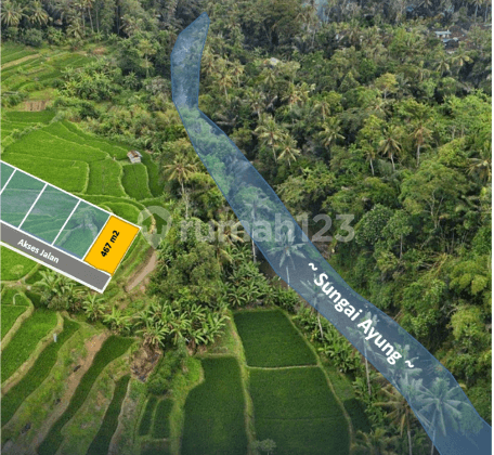 Tanah di Jalan Raya Semana Ubud Bali