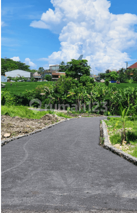 Tanah di Jalan Kedampang Kerobokan Kuta Utara Badung Bali, Badung