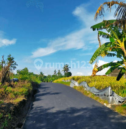 Tanah di Kedungu