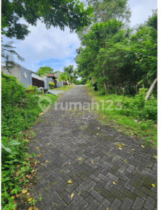 Tanah di Pecatu Graha