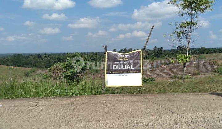 Tanah Ds Cigeulis Pandeglang