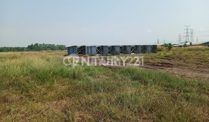 Tanah 12 Hektar Krapyak Kramatwatu Cocok Untuk Perumahan