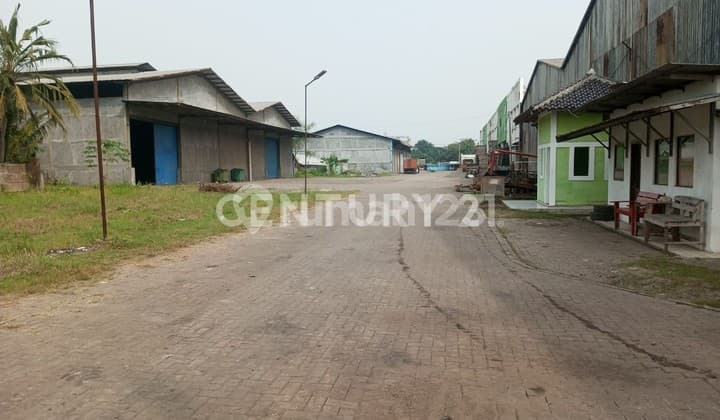 Tanah Berikut 11 Gudang Bojonegara Jl Terate