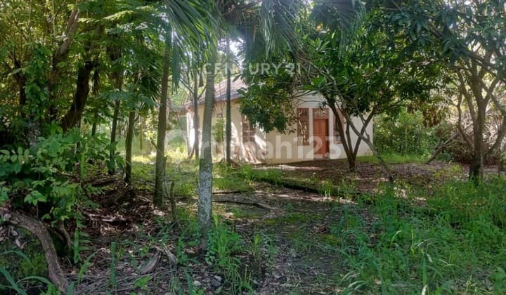 Tanah Nempel Jalan Utama Lingkar Selatan Km 8