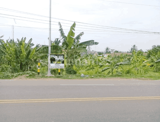 Tanah Jalan Utama Gunung Pinang Strategis