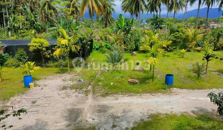 Tanah 2400m2 SHM Lubuk Alung Padang Pariaman Sumatra Barat