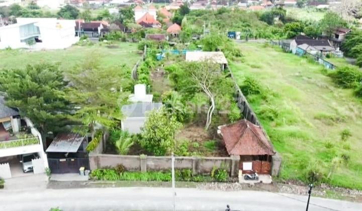 Tanah Dijual Area Batu Bolong, Canggu