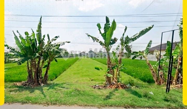 Tanah Cocok untuk Usaha Kawasan Ramai Jaten