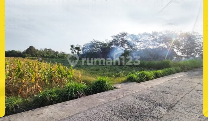 Tanah Kavling Luas 1,2 Ha di Randusari Teras Boyolali