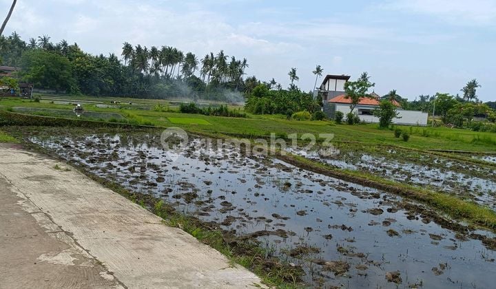 For Sale Land Near Lovina City Villa Area