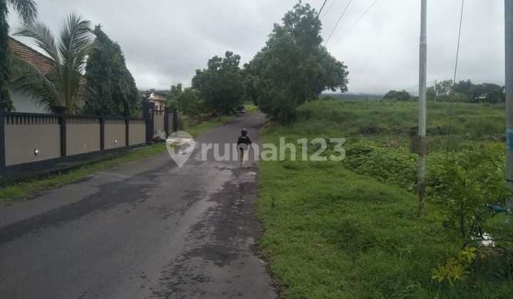 For sale area villa and diving center in tulamben