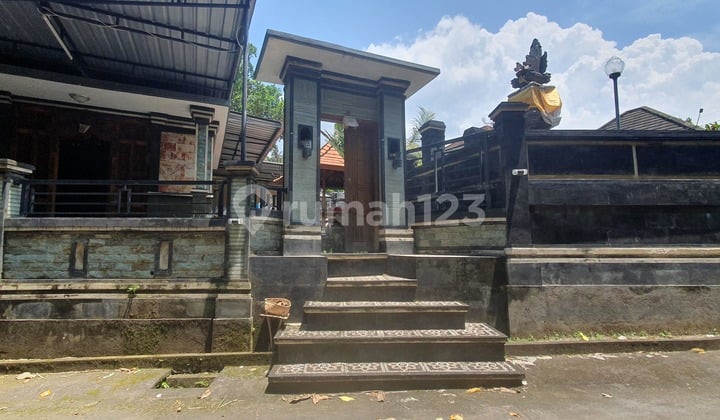 Jual Rumah Stayle Bali Bonus Kos Kosan 12 Kamar