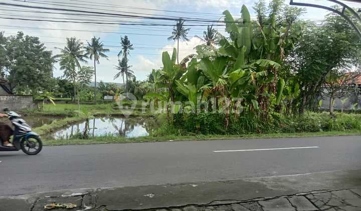 Dijual tanah pinggir jalan di pesagi Karangasem