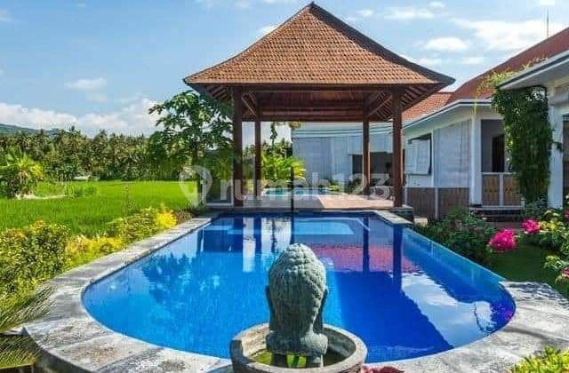 For sale luxury villa with fantastic view and just walking distance to central lovina