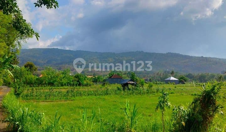 FOR SALE good land for investment in lovina With good view and acces road