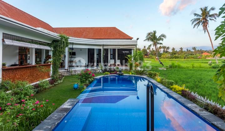 Te koop super mooi huis For sale modern villa in central Lovina fantastic view