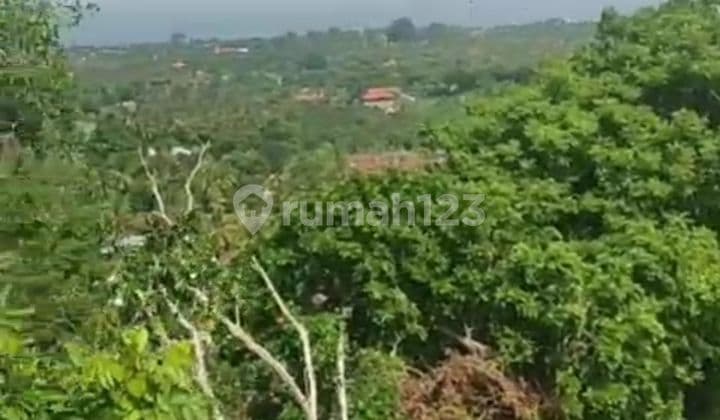 For Sale 1 Hertar Land With Fantastic View In Lovina