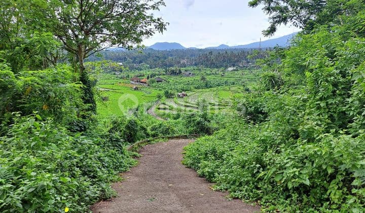 For leasd land 1400 M2 beautiful view in tirtagangga
