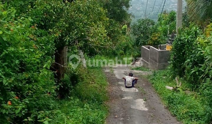 For Sale Land 16 Munite To Central Lovina Global Just 300Juta 10 Are Land