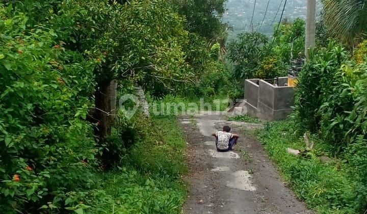 For Sale Land 16 Munite To Central Lovina Global Just 300Juta 10 Are Land