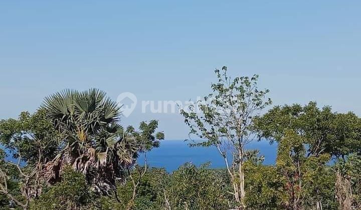 For sale land in Tulamben with ocean view and close to central diving