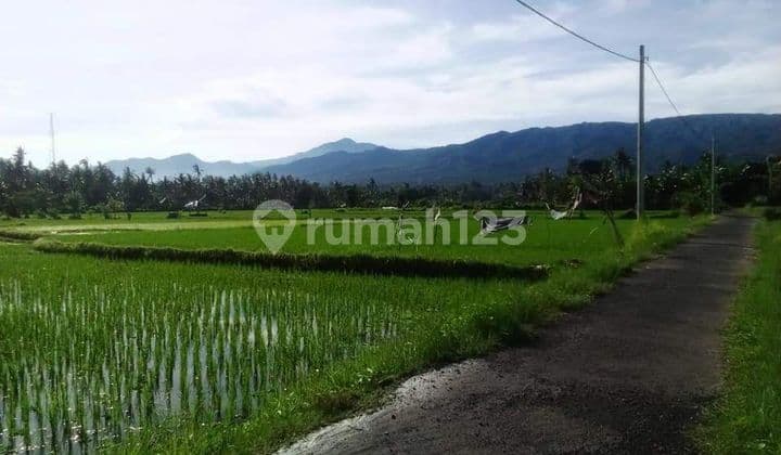 For sale land with good acces and area villa and hotel in lovina