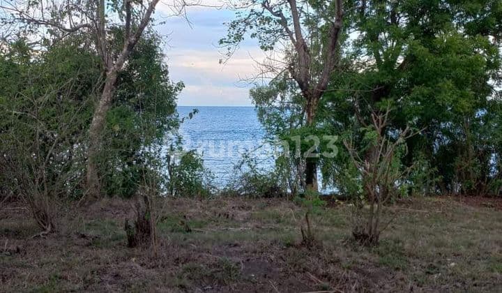 For sale beach front land good for Resort or villa