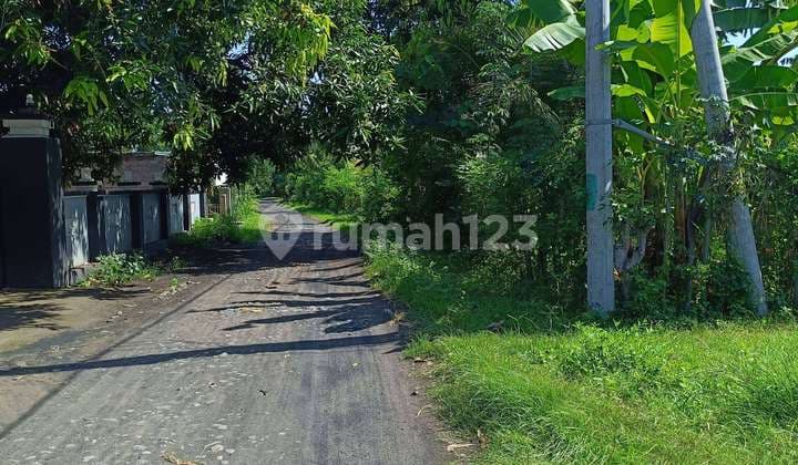 For sale global just 210 Milion land 7 are in pemutaran