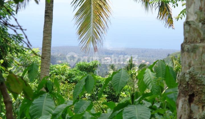 For sale big land good for investment or hotel in Karangasem with ocean view