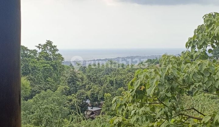 For sale ex steak house restaurant and free extra unfinished 3 floor planning for hotel