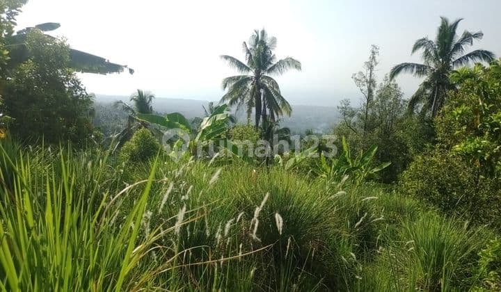 For Sale Ocean View Land In Panji Area And Many Waterfalls Around