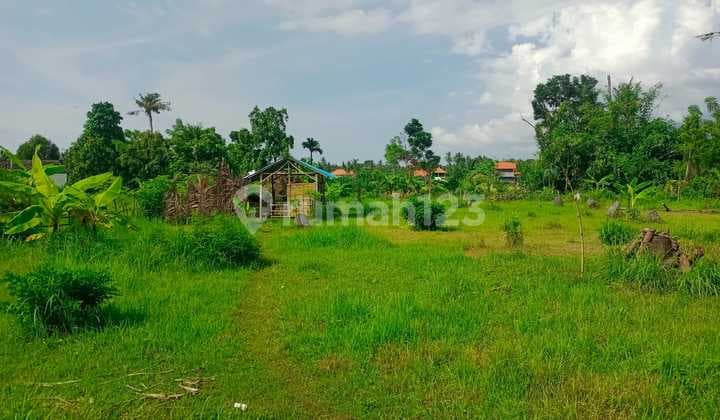 For Sale Land Good For Homestay And Villas Just 1 Km From Beach